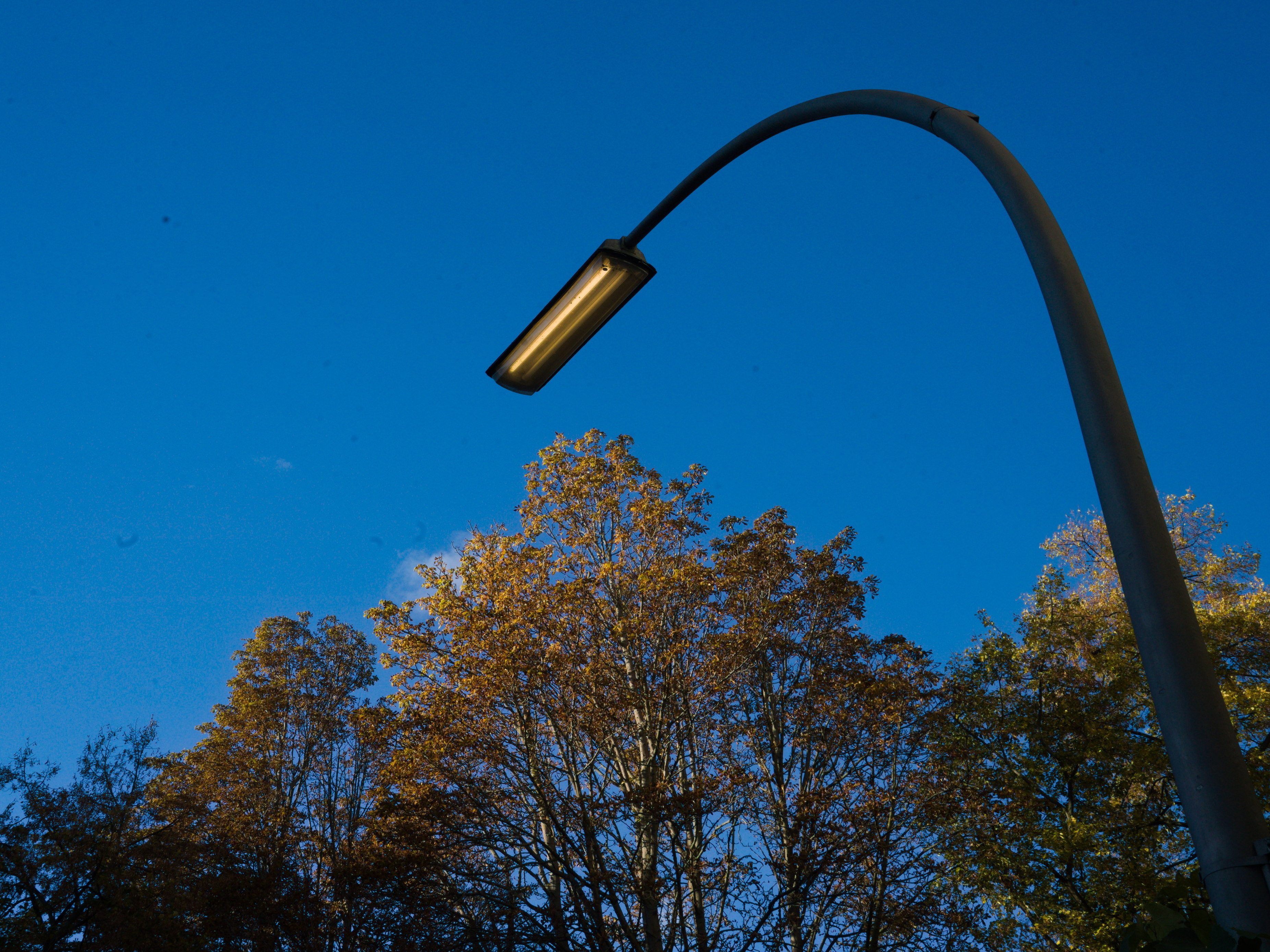 La misma farola ilumina a plena luz de un día de otoño. De la serie 'el soporte' de Ibán Ojea. Berlín.